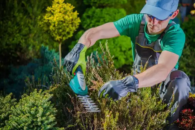landscaping services Morganfield